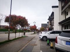 -蔡阿水羊肉店