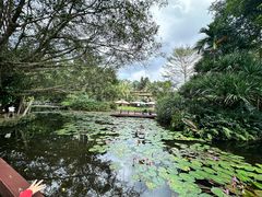 -海南热带野生动植物园