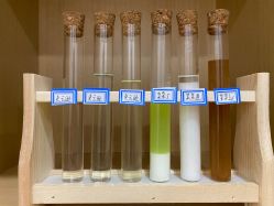 点击看大图 -雍禾植发全国连锁