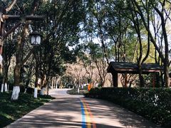 -天目湖山水园