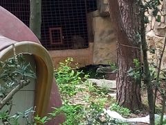 -木兰云雾山