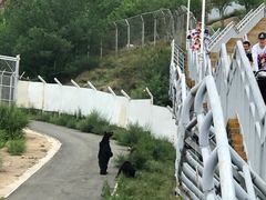 -大青山野生动物园