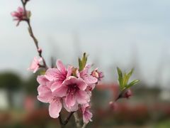 -南京市无想山景区