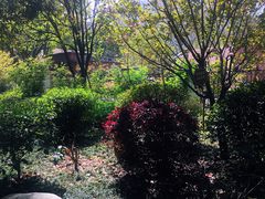 -千滋百味·醉江澜花园餐厅(街道口店)