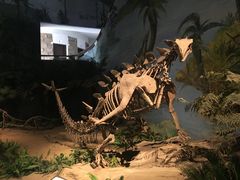 -自贡恐龙博物馆