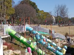 -宁波儿童公园(鄞州区)