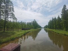 -黄海国家森林公园