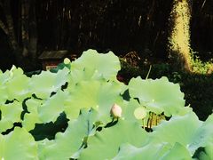 -兰亭风景区
