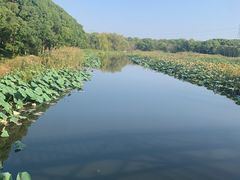 -同里国家湿地公园