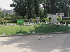 -成都华侨城欢乐里