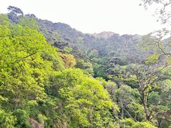 -泰山风景名胜区