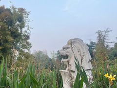-桂湖森林公园