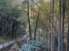 -藏龙百瀑风景区