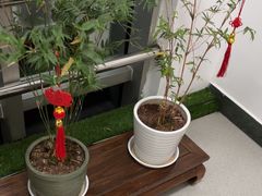 -上海精菜馆(虎踞关店)