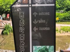 -白水寺森林公园