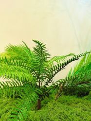 -FUMEIHUI·科技美肤·美体SPA