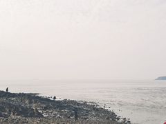 -外蒲山