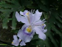 -重庆彩云湖湿地公园