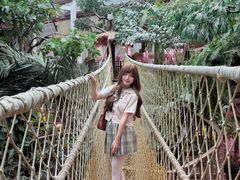 -正佳雨林生态植物园