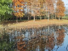 -同里国家湿地公园
