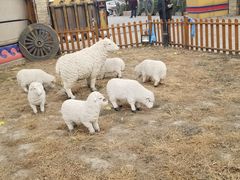 -大汗行宫园林餐厅