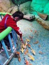 -酷嗒动物文化乐园(cutezoo西溪乐天城店)