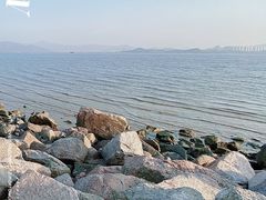 -深圳湾公园(南山区)