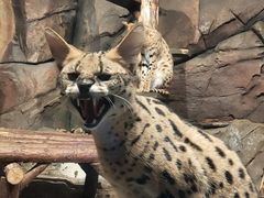 -波塞冬旅游度假区