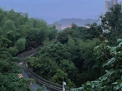 -福道