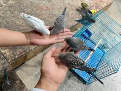 -嘉兴海底世界