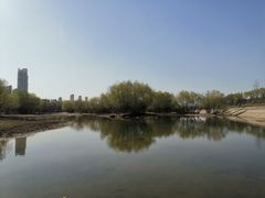 -灞河西岸滨河公园