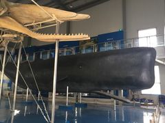 -上海海洋大学鱼文化博物馆(军工路校区)
