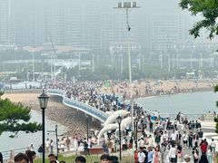 -小麦岛公园