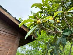 -白鹭湾湿地公园