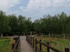 -西青郊野公园