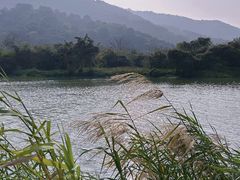 -风云岭森林公园
