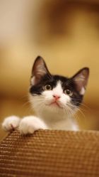 -Bollins波林丝•专研护发中心