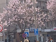 -中国建设银行(北京朝阳支行)