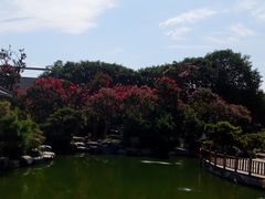 -中国唐苑
