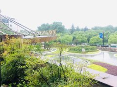 -青藤茶馆(凤起路店)