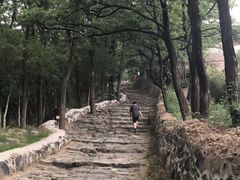-阳台山自然风景区