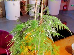 -袁亮今日陶艺(苹果社区总店)