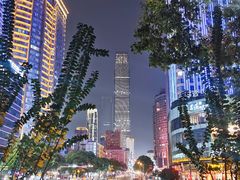 -杜甫江阁