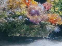 -锦艺城海洋馆