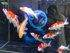 -海香园饭店