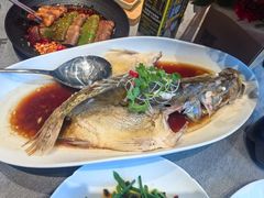 -羲和雅苑•北京烤鸭(平安国际金融中心店)