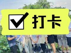 -火炉山森林公园