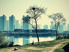 景点-盘龙城国家考古遗址公园