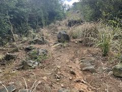 -北仑森林植物园