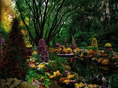 -上海共青森林公园